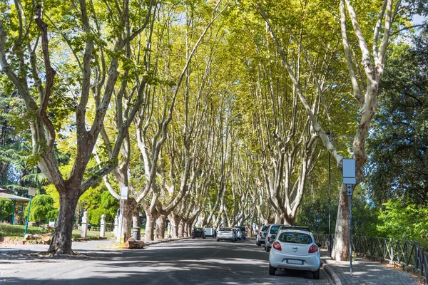 Aves domésticas em Promenade do Janiculum — Fotografia de Stock