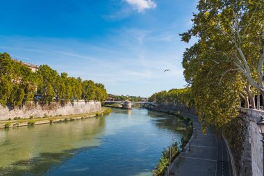 Roma 'da Tiber Nehri
