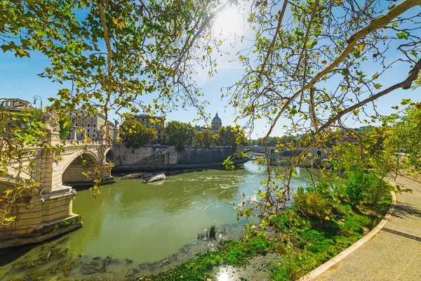 Fiume Tevere sotto un sole splendente a Roma — Foto Stock