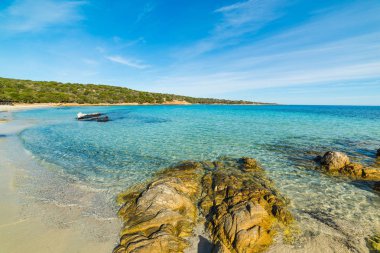 Andreani Cove Caprera Island turkuaz su