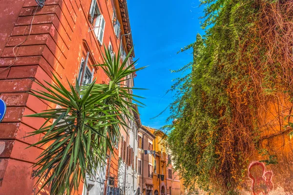 Färgglada fasader i Trastevere — Stockfoto