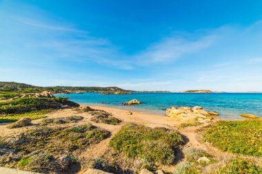 La Maddalena Island kayalık sahil