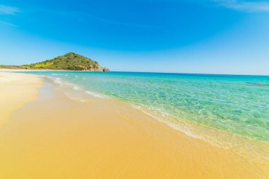 Golden shore in Cala Monte Turno