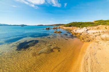 Altın sahil Caprera Adası