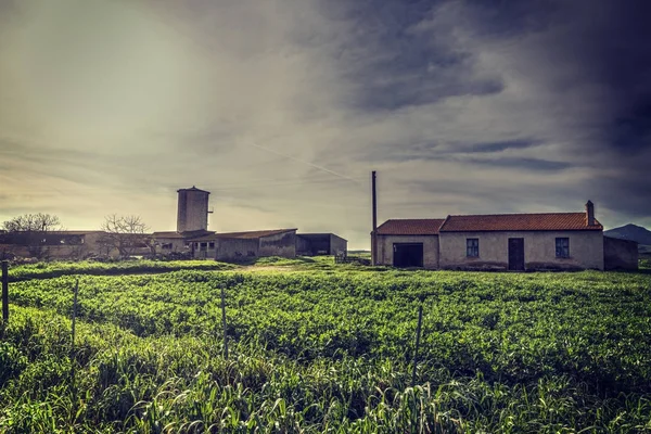 Casa de fazenda sob um céu cinzento — Fotografia de Stock
