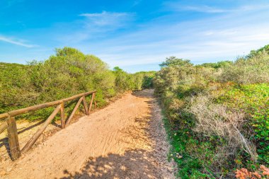 La Maddalena yürüyüş yolunda