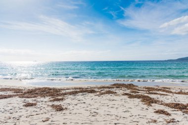 Alghero shore-beyaz kum