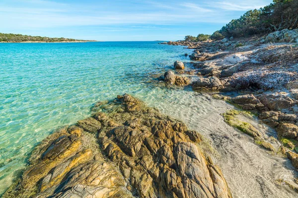 Kayalar Andreani Cove Caprera Adası — Stok fotoğraf