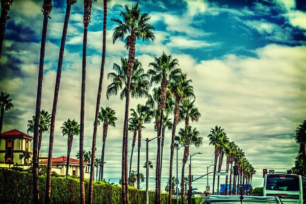 Palmové stromy na okraji od silnice v Los Angeles — Stock fotografie