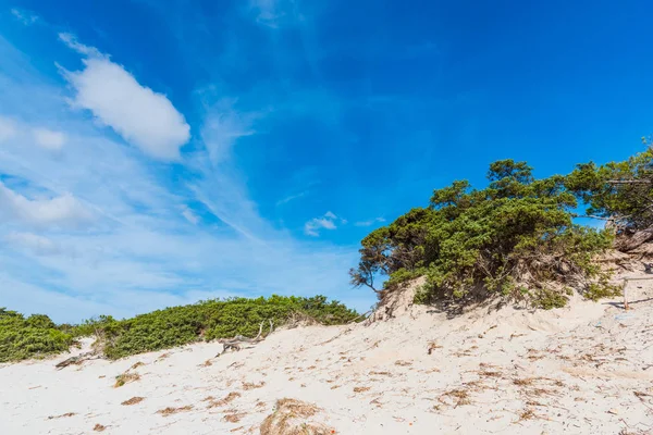 Sand dune on a clear day in Sardinia — Stock Photo, Image