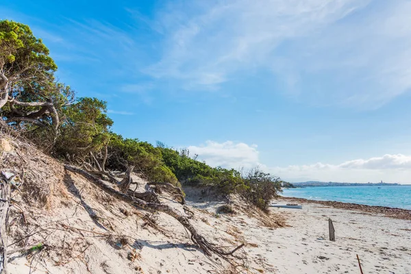 Kumul Alghero shore içinde — Stok fotoğraf