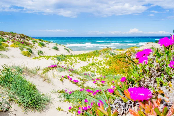 Renkli sahil Platamona — Stok fotoğraf