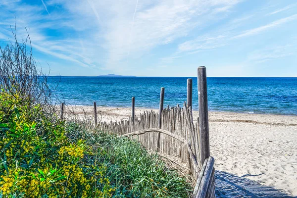 Flowers and palisade by the sea — Stock Photo, Image