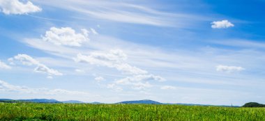 Yeşil mavi bir gökyüzü altında ilkbaharda tırmanıştır.