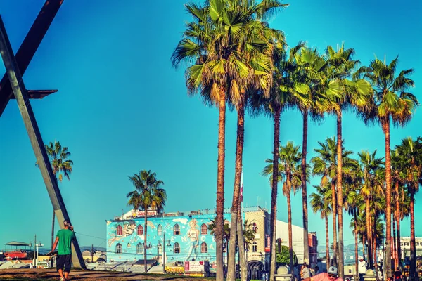 Palmiers à Venise plage — Photo