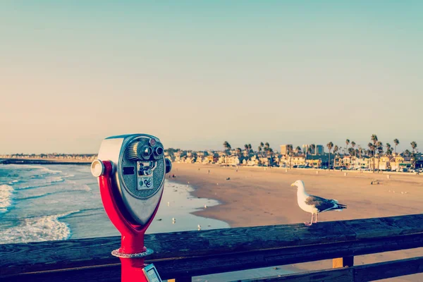 Verrekijkers en zeemeeuw in Newport Beach pier — Stockfoto