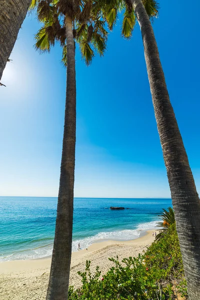 Palmbomen met turquoise zee op de achtergrond — Stockfoto