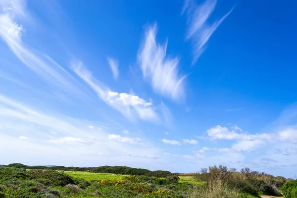 Champ vert sous un ciel bleu avec des nuages — Photo