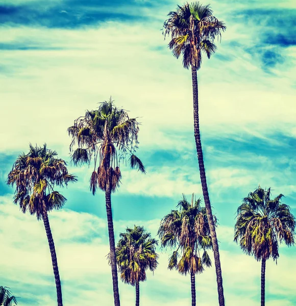 Palmbomen onder wolken in Californië in vintage Toon — Stockfoto