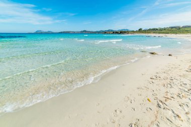 Renkli kıyı manzarası, Sardunya