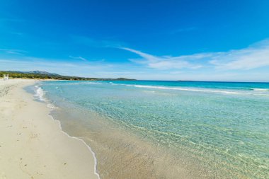 Beyaz kum manzaralı, Sardunya