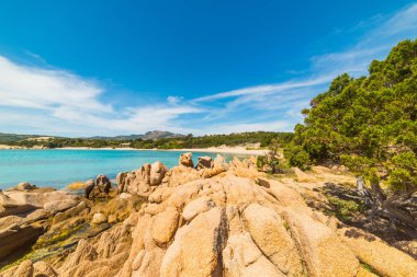 Güneşli bir gün sahilde La Celvia