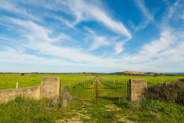 Старые ворота в сельской местности — стоковое фото