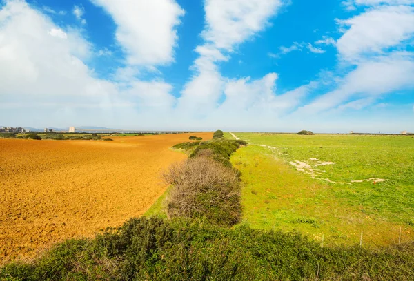 Campo colorido bajo un cielo nublado en Cerdeña — Foto de Stock