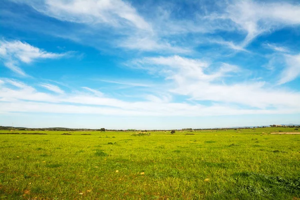 Cielo nublado sobre un campo verde en Cerdeña —  Fotos de Stock