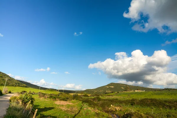 Голубое небо над зеленым полем весной — стоковое фото