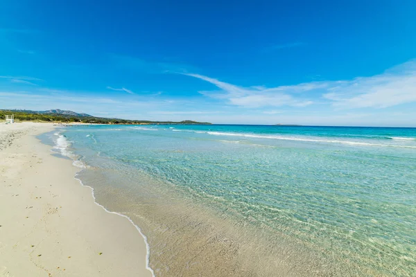 Vista Sulla Sabbia Bianca Sardegna — Foto Stock
