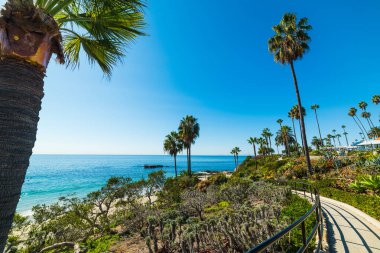 Palmiye ağaçları ile denizin Laguna Beach