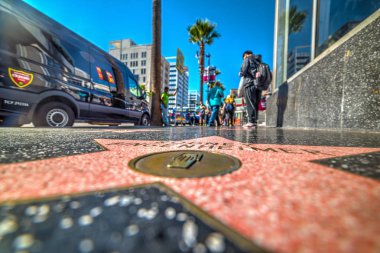 Rodney Bingenheimer yıldızı Hollywood walk