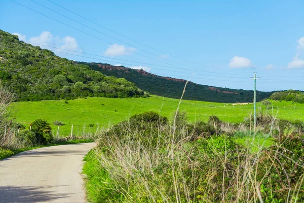Strada di campagna in una collina verde in primavera — Foto Stock