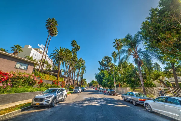 Hawthorn avenue w Hollywood — Zdjęcie stockowe