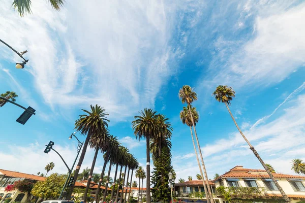 Santa Barbara'da palmiye ağaçları — Stok fotoğraf