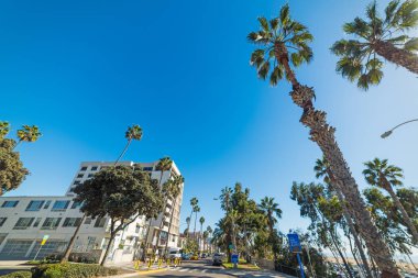 Güneşli bir gün Santa Monica sahilinde