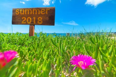 Yaz ahşap bir tabelada yazılı 2018 