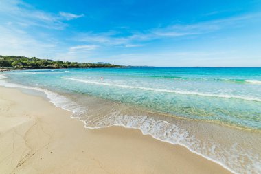 Rena Bianca, Sardunya turkuaz su