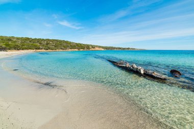 Andreani cove Caprera da üzerinde mavi gökyüzü