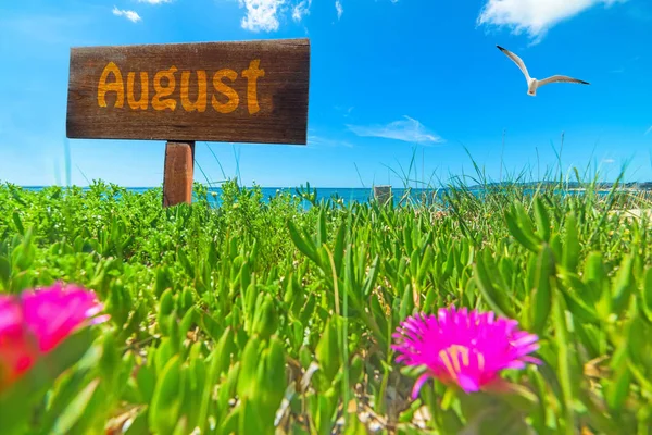 Agosto scritto su un cartello di legno su un campo verde — Foto Stock