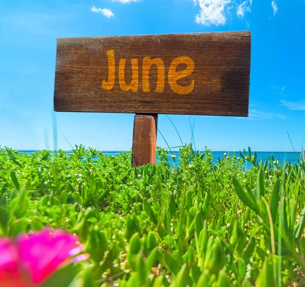 Junho escrito em um sinal de madeira em um campo verde — Fotografia de Stock