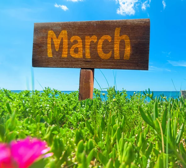 Marzo escrito en un letrero de madera en un campo verde — Foto de Stock