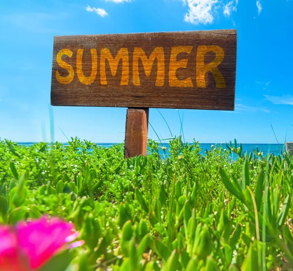 Summer written on a wooden sign — Stock Photo, Image