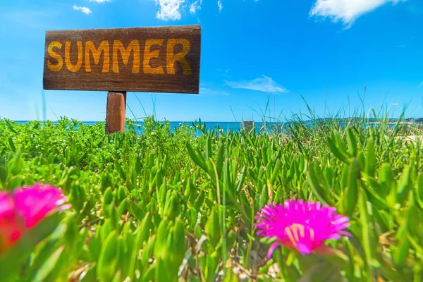 夏天写在木头标志上 — 图库照片