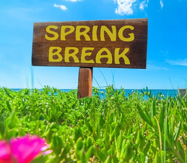 Spring break skrivit på en träskylt — Stockfoto