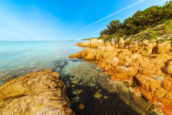 Piccolo Pevero Plajı Sardunya Talya — Stok fotoğraf