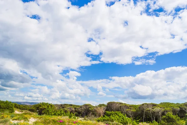 Облачное небо над зеленым полем — стоковое фото