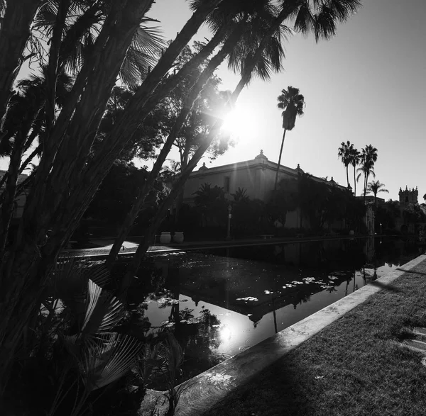 Växter och vatten i Balboa park i svart och vitt — Stockfoto