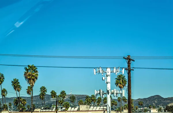 Cep telefonu antenler ve palmiye ağaçları — Stok fotoğraf